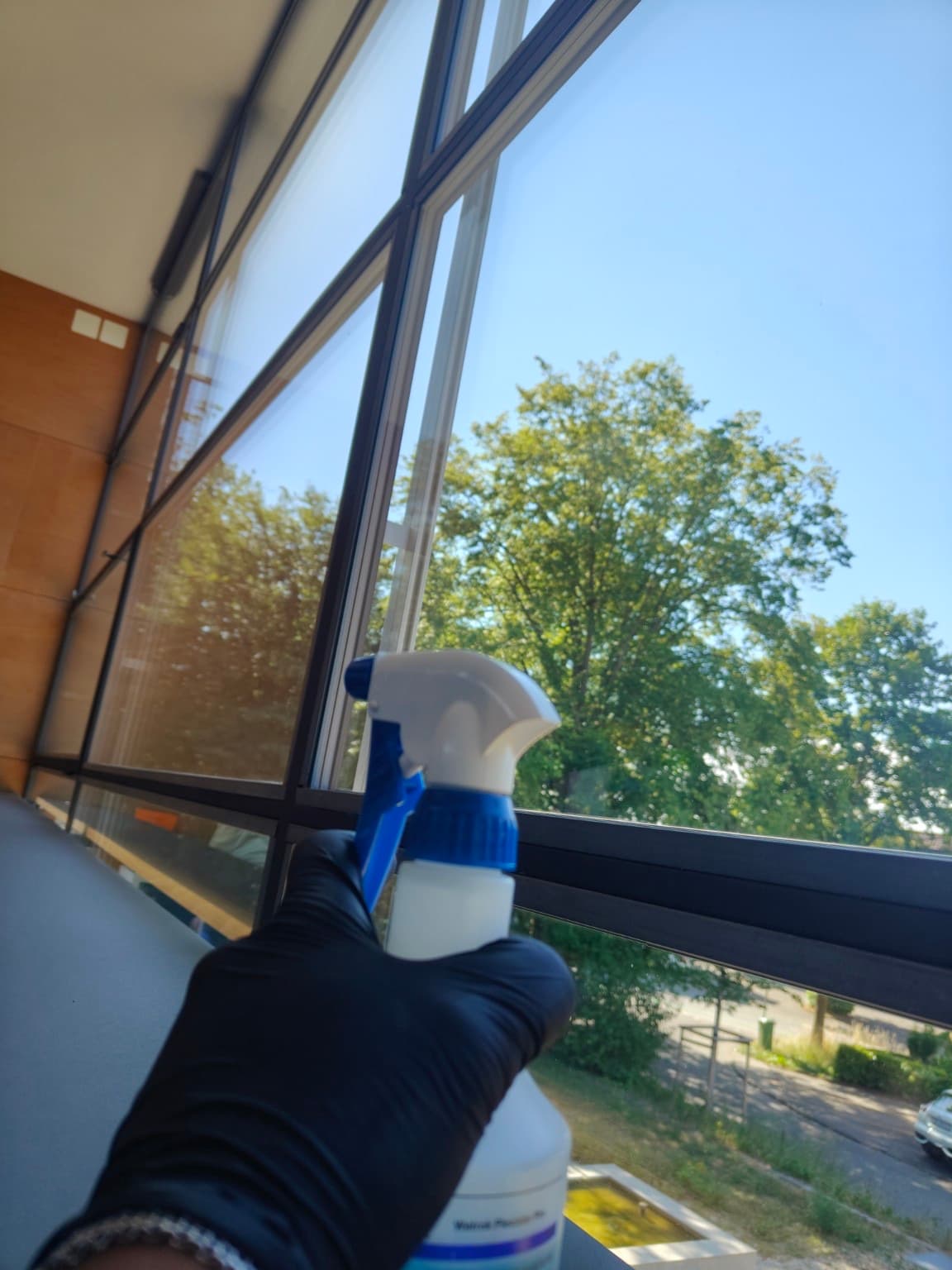 Professional window care